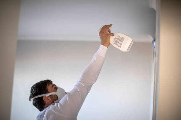 Best Mold Removal Company Near Me  in Herriman, UT