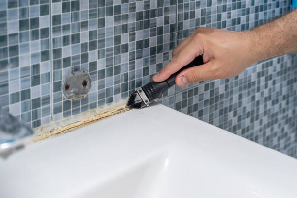 Best Same-Day Mold Removal  in Herriman, UT