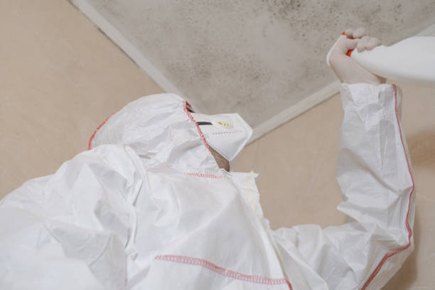 Professional Mold Removal in Herriman, UT
