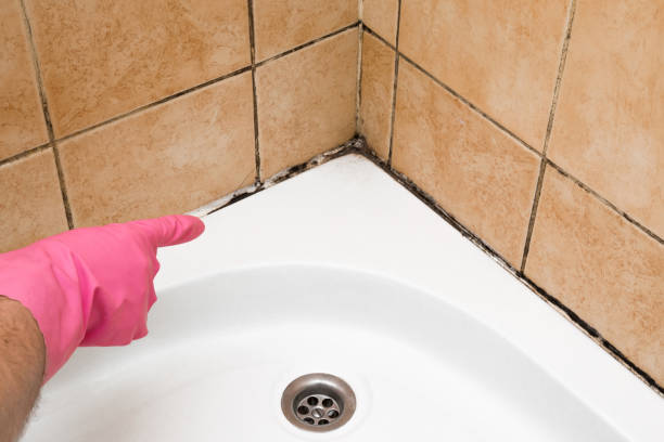 Best Certified Mold Removal  in Herriman, UT